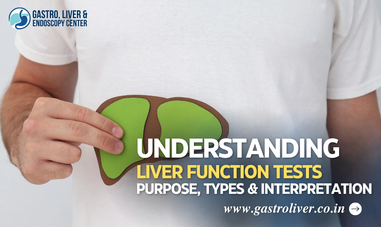 Understanding Liver Function Tests: Purpose, Types & Interpretation