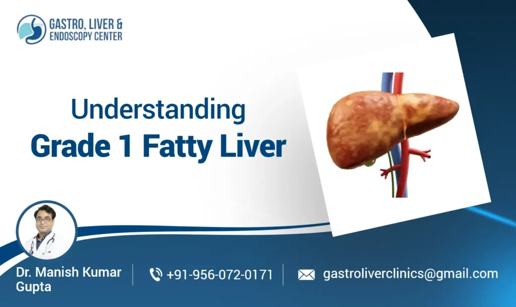 Understanding Grade 1 Fatty Liver