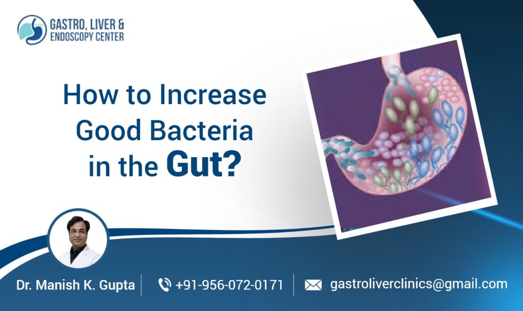 How to Increase Good Bacteria in the Gut?